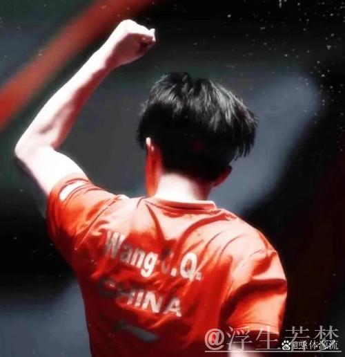 常规赛尘埃落定 季后赛席位确定 常规赛尘埃落定 季后赛席位确定